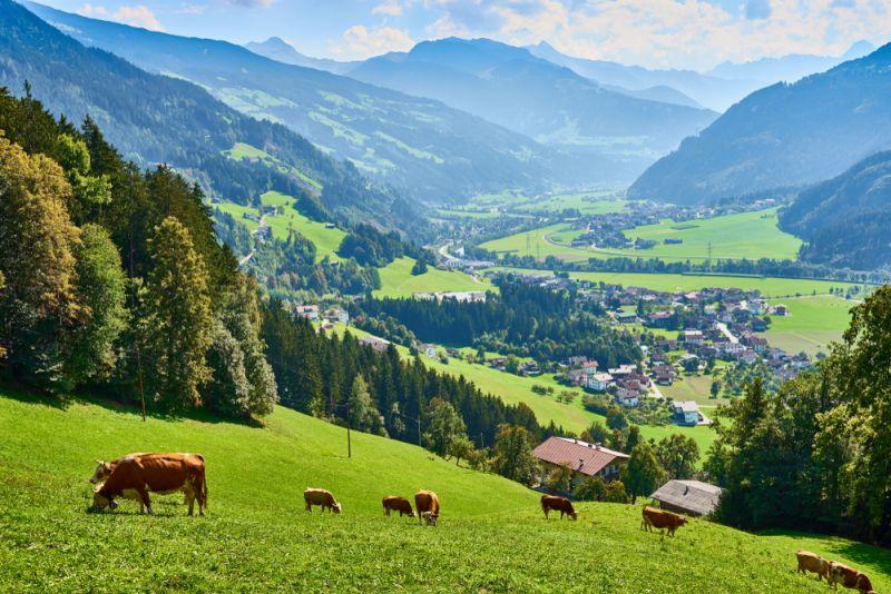 Tesla-Niederlassung in Tirol geplant