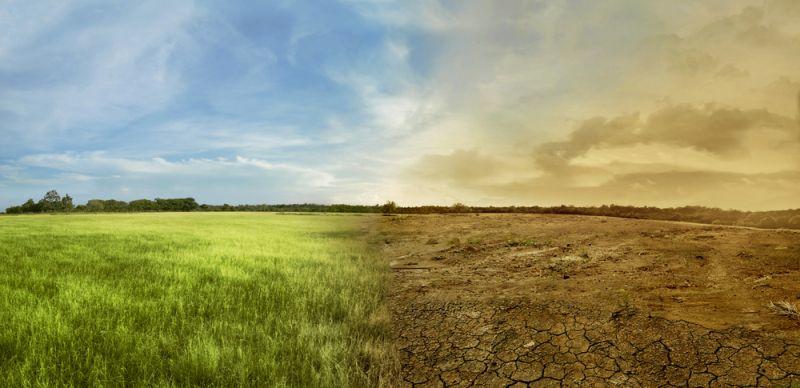 Elektroautos nicht für Klimaschutz ausreichend