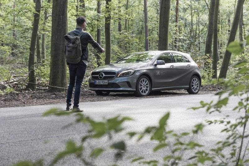 car2go führt seine Fahrer auch in Wälder...
