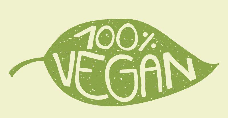 Tesla Model 3 und Model Y ab 2020 vegan