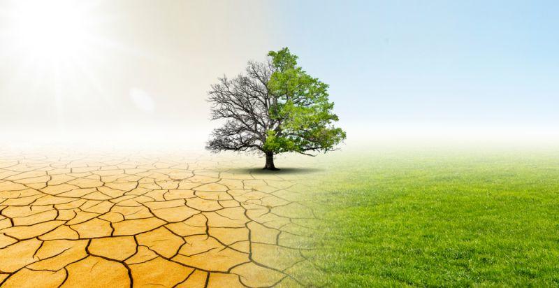 Klimaschutzgesetz muss allumfassend betrachtet werden