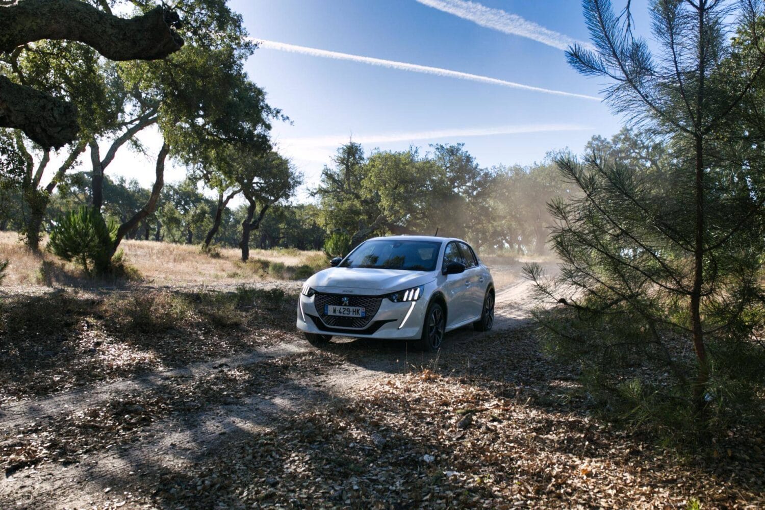 Peugeot e-208 - Test- und Erfahrungsbericht