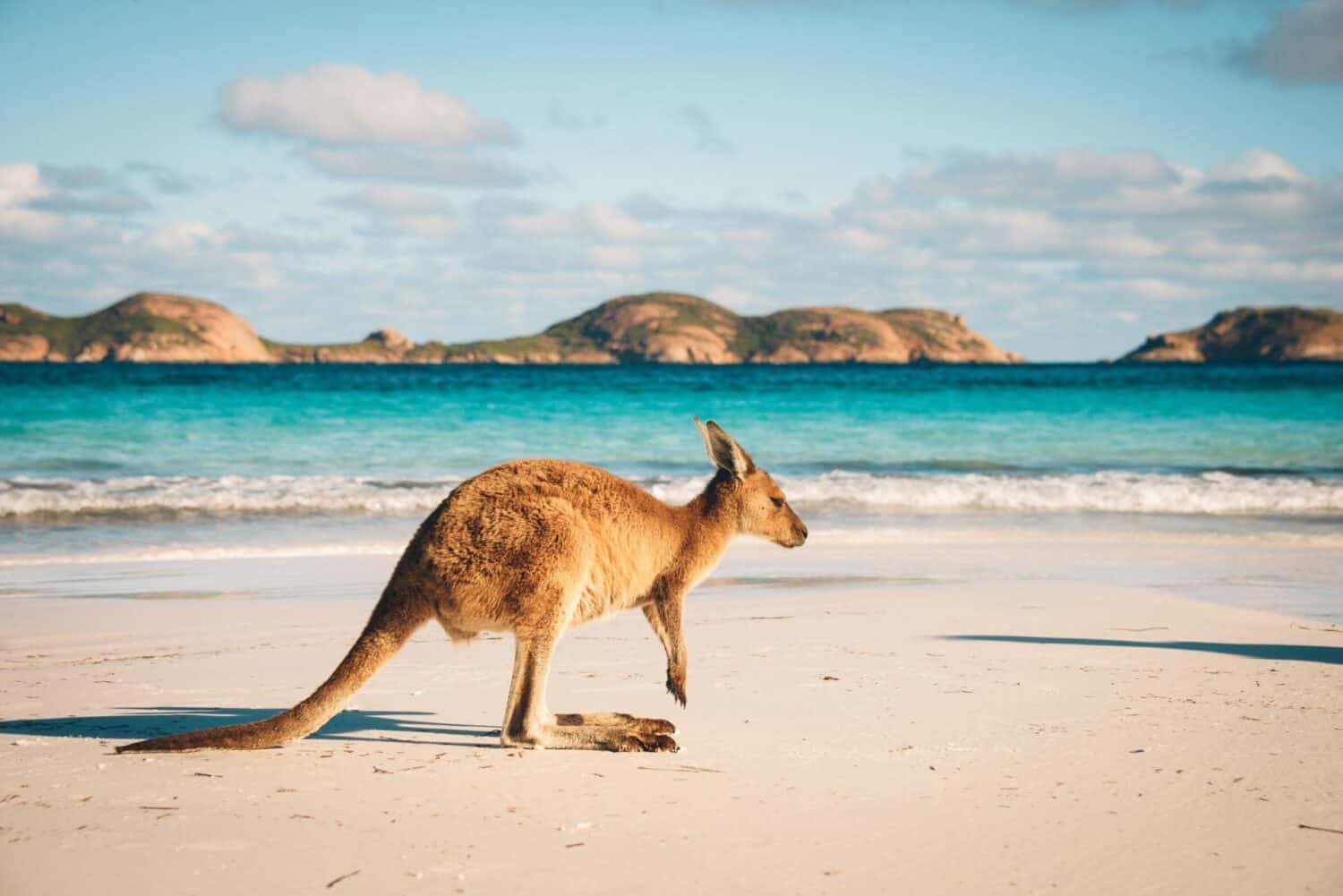 BMW setzt auf Australien, nicht mehr Kongo