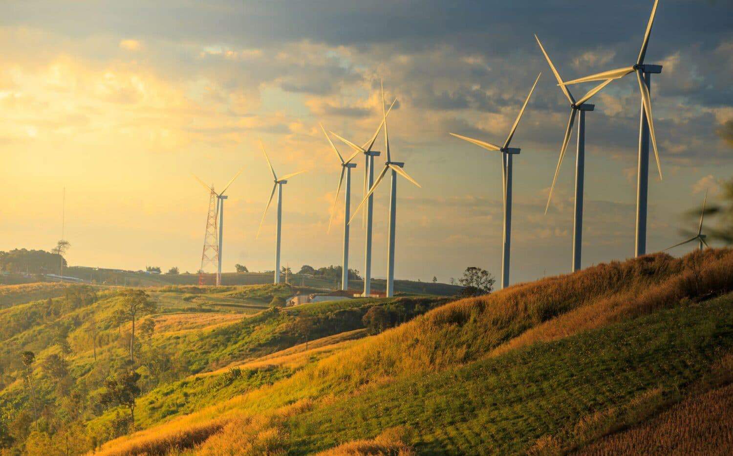 Erneuerbare Energien gewinnen an Bedeutung