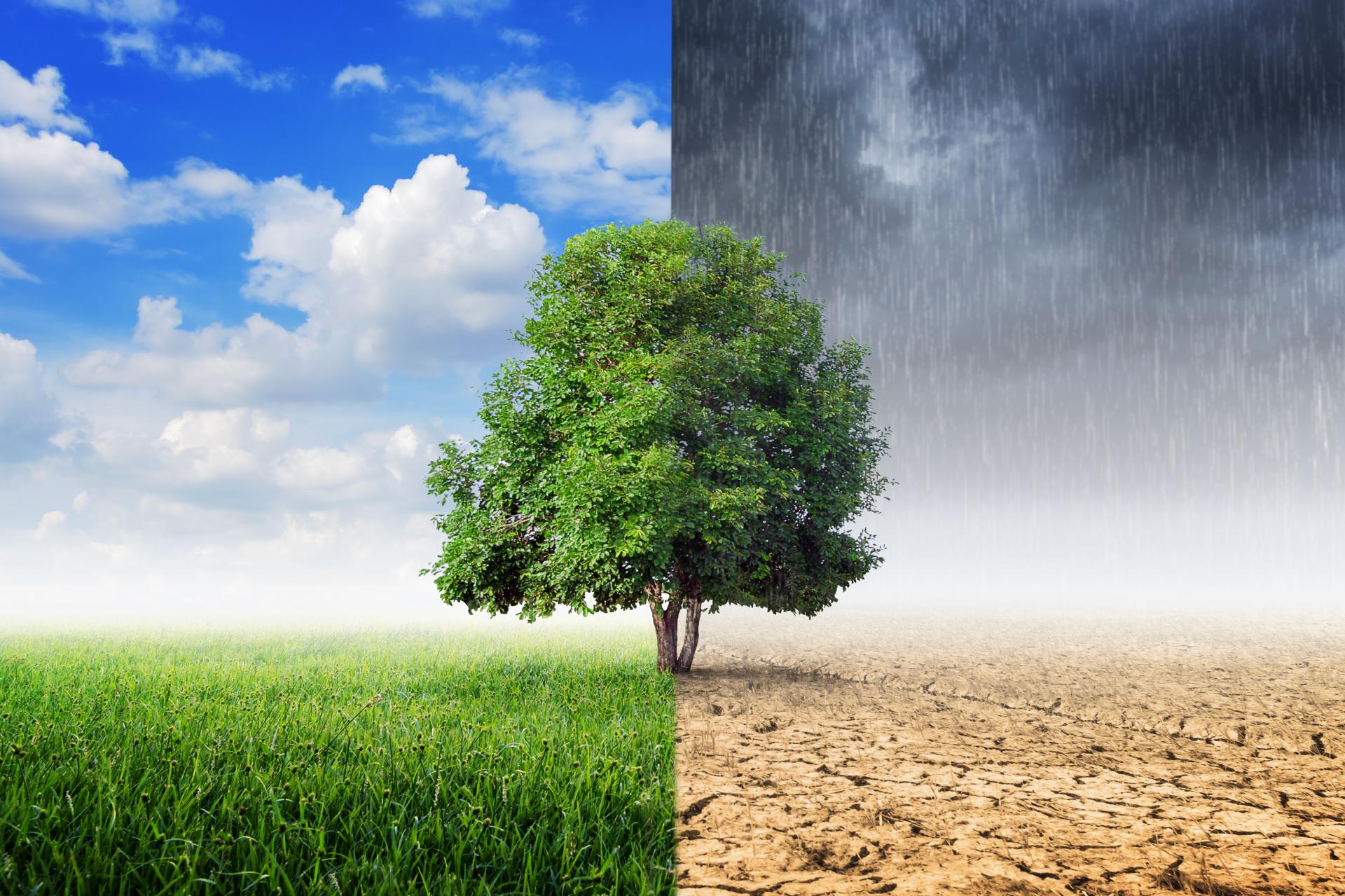 Klimawandel