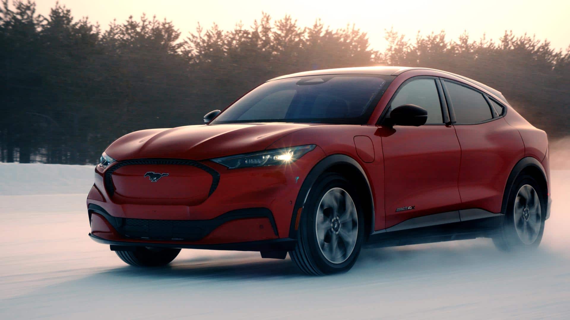 Ford Motors
