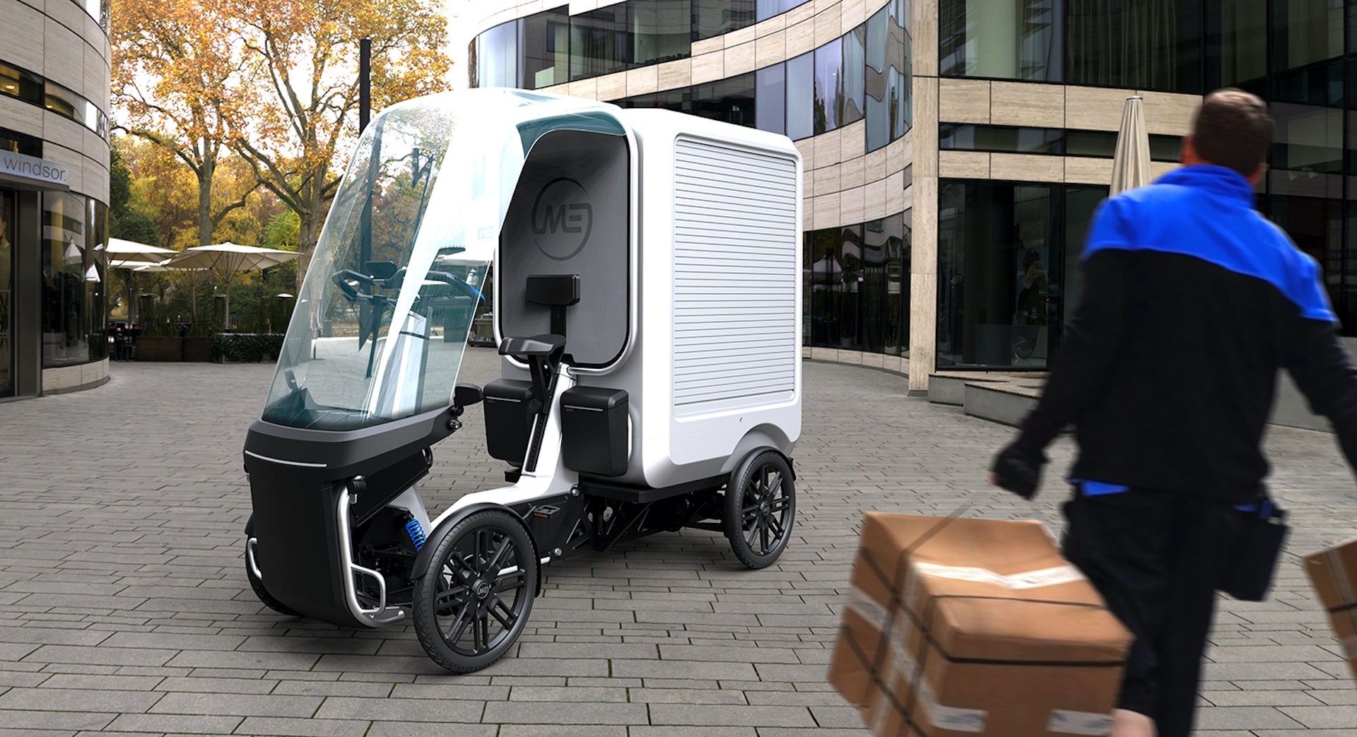 BMZ E-Bike Pedelec Akku Motor