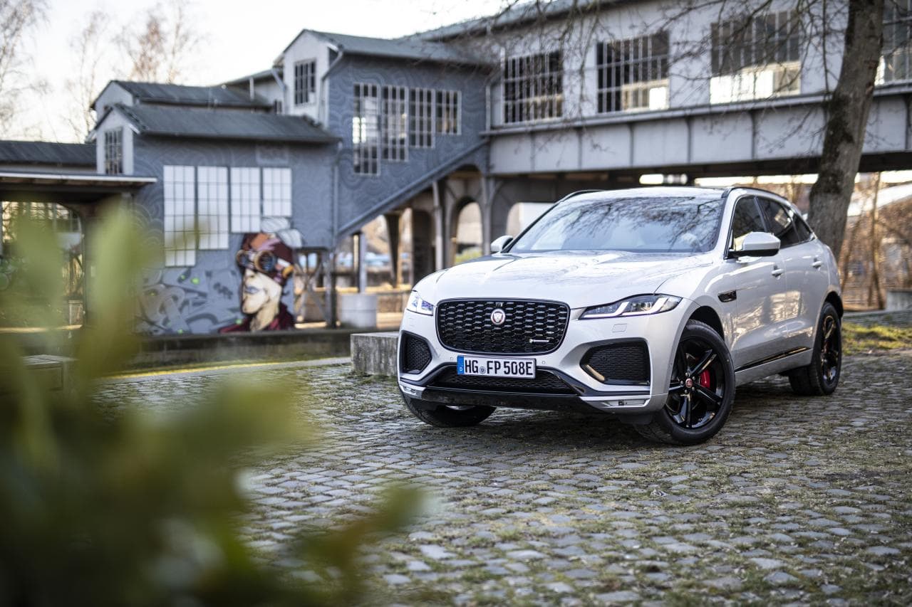 Jaguar F-Pace Plug-In-Hybrid: Für Kralle und Pfote