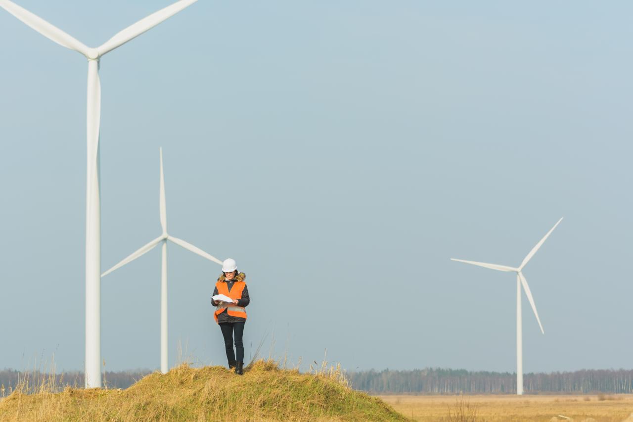 Energie-Expertin: "Ziele reichen nicht - wir müssen handeln!"