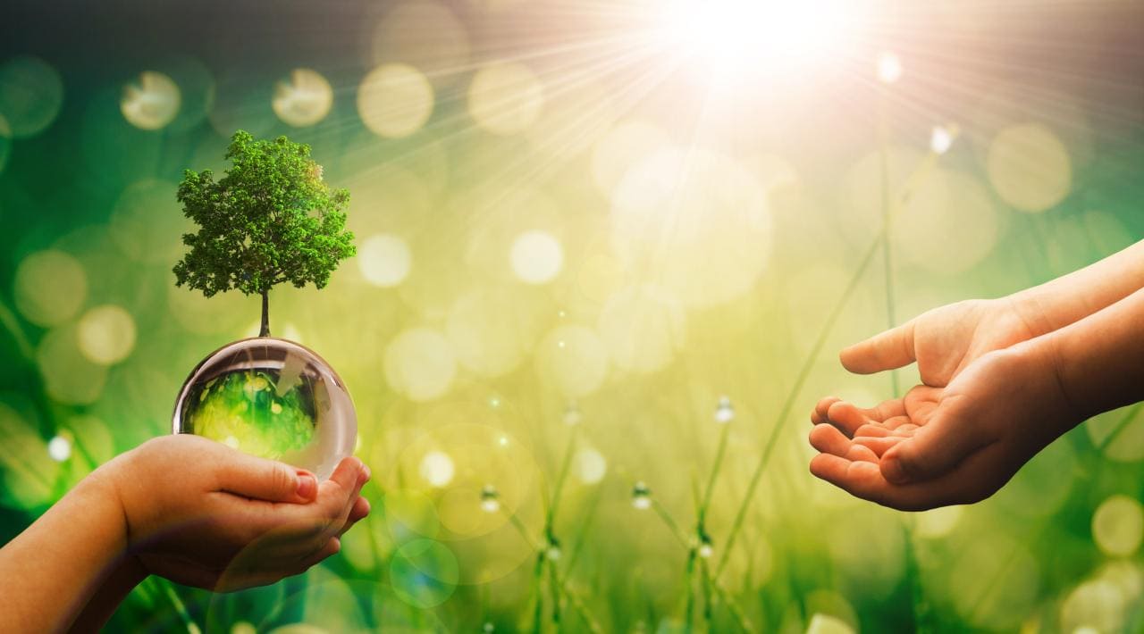Breites Bündnis fordert schnelle Einführung einer Klimaprämie