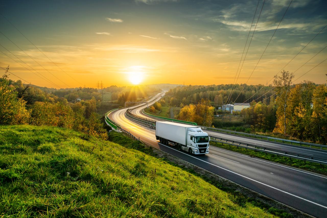 Diesel bei neu zugelassenen LKWs immer noch dominant, Alternative holen auf