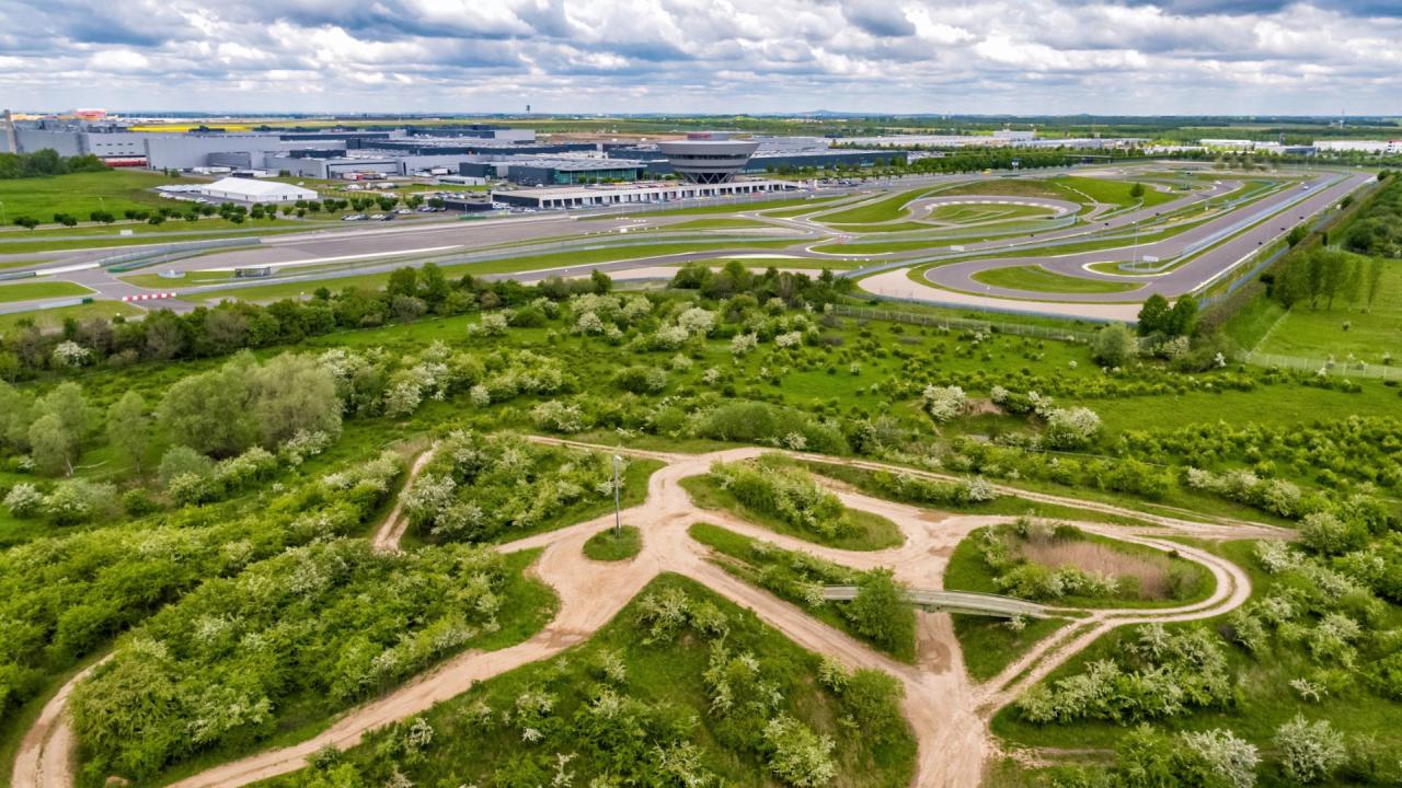 Porsche in Leipzig: Eco-Roboter und Honigbienen