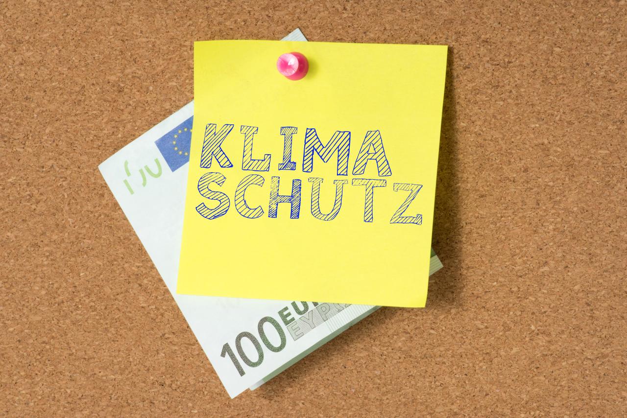 Klimaschutz-Sofortprogramm legt stärkeren Fokus auf reine E-Fahrzeuge