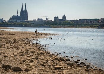 Klimakrise-Duerre-Koeln