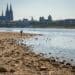 Klimakrise-Duerre-Koeln