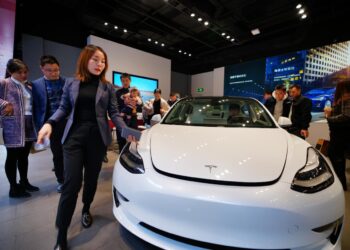 Beobachtung: E-Automarkt in China wächst, Tesla-Absatz sinkt