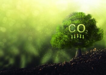 CO2-Neutralität: Das planen BMW und Mercedes